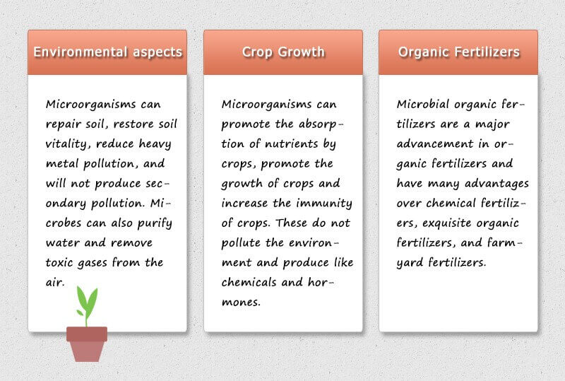 Investigación microbiológica en agricultura
