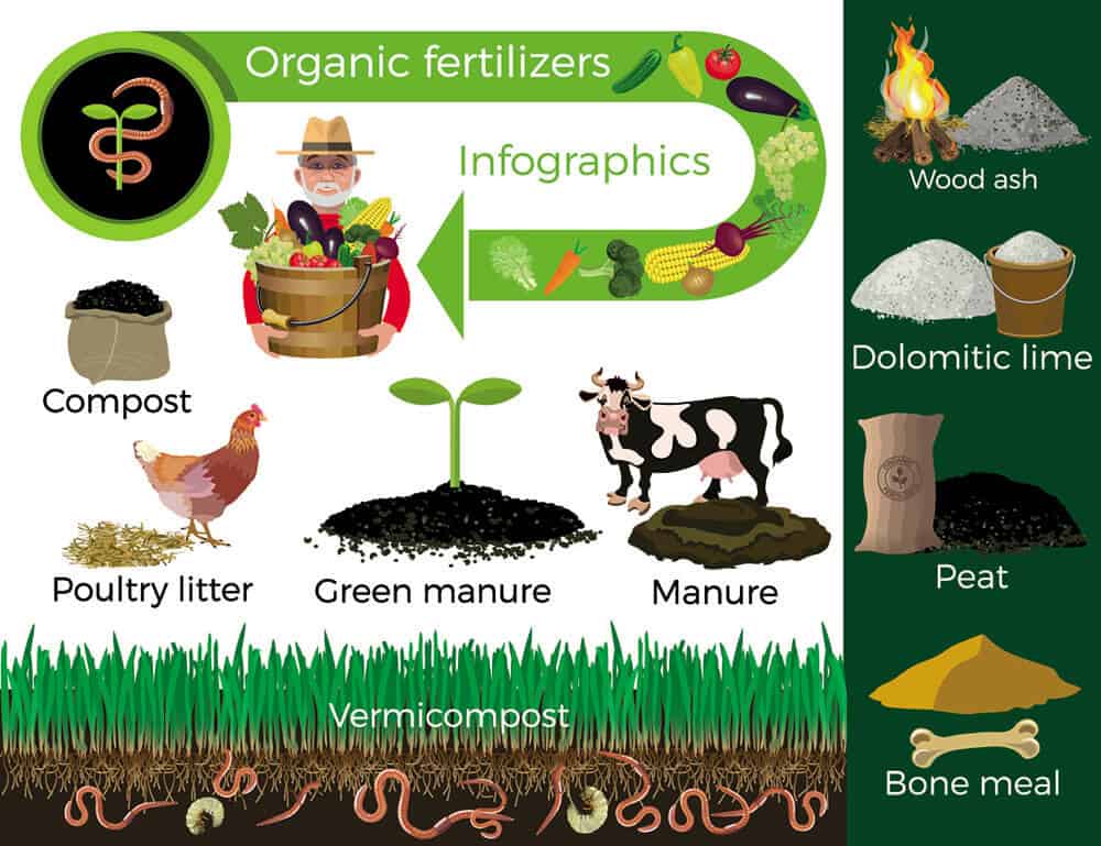 What is Organic Fertilizer Definition