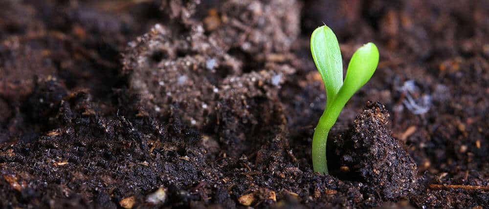 what-s-organic-fertilizer-definition-type-dora-agri